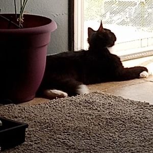 Meet your Posher, Gail